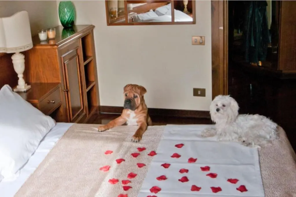Casa Con Vista Colosseo - Luxury Apartment With Colosseum View Rome